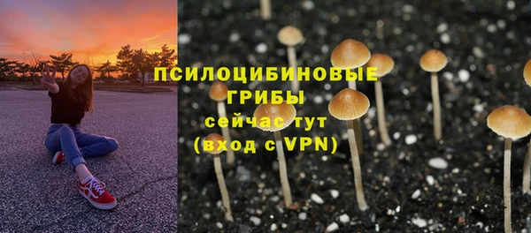 эйфоретик Алексеевка