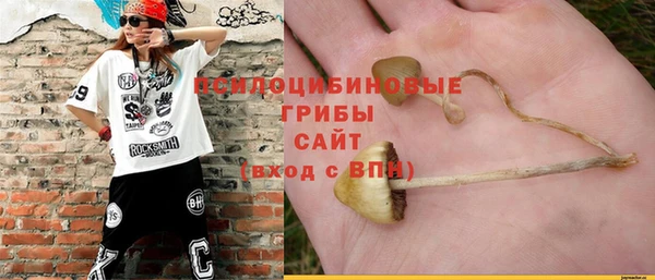 эйфоретик Алексеевка