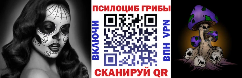 дарнет шоп  Пикалёво  blacksprut   Псилоцибиновые грибы Psilocybine cubensis 